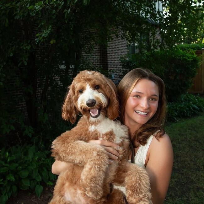 Babysitter in Dublin: Kate