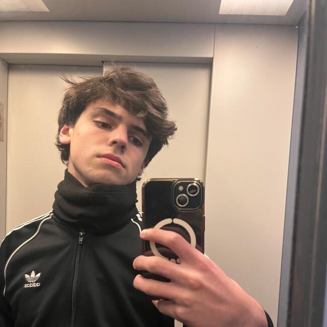 Babysitter in Santarém: Salvador Ferreira