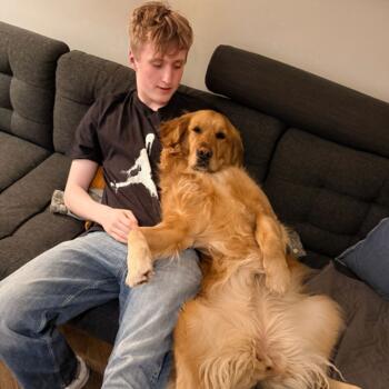 Babysitter in The Hague: Tijn