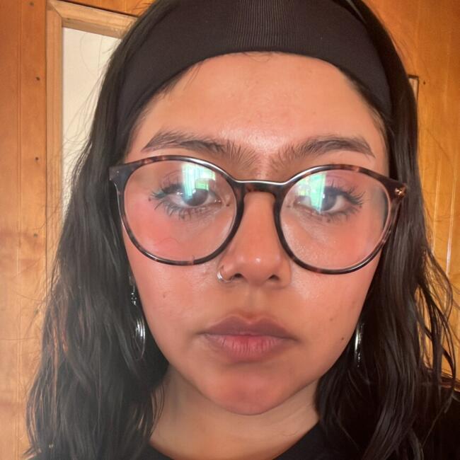 Niñera en Puente Alto: Carla Manriquez Soldado