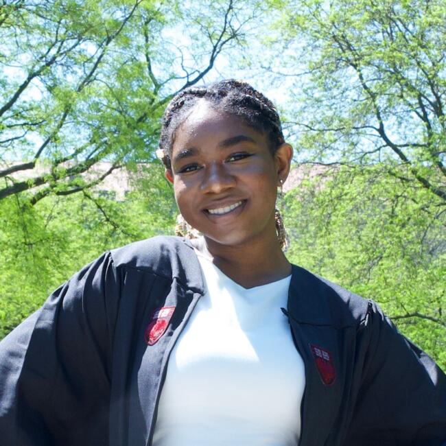 Babysitter in Florissant: Folasade