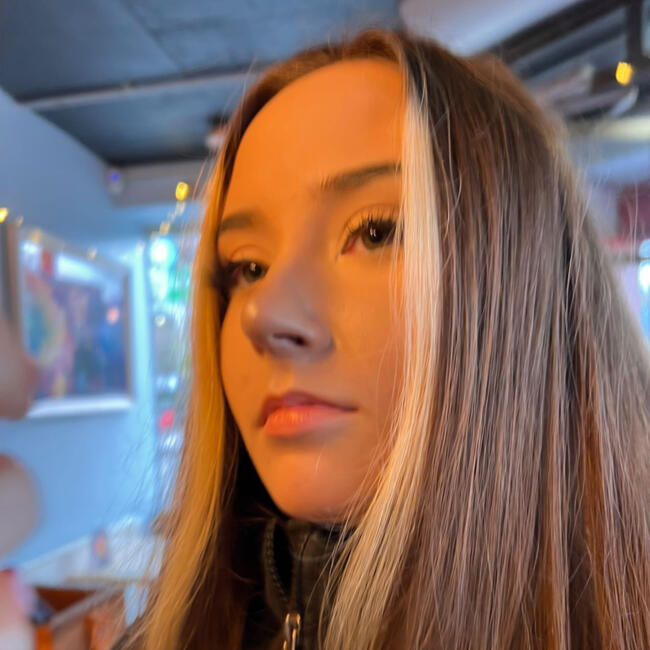 Babysitter in Limerick: Alysha