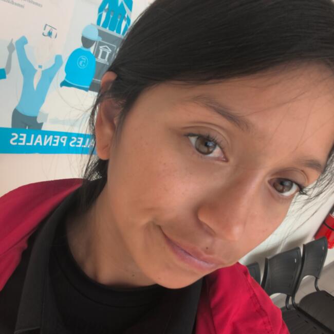Babysitting job in Alto Hospicio: Sabrina