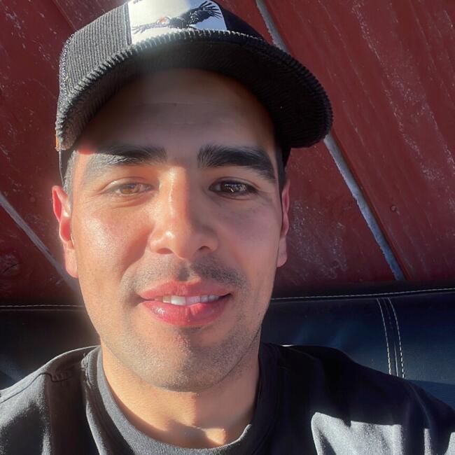 Babysitting job in Port Montt: Francisco