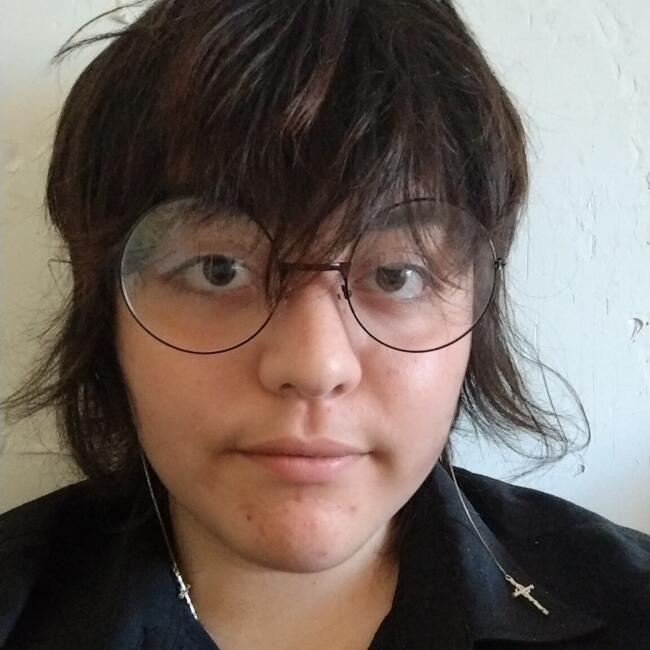 Babysitter in Renca: Allan