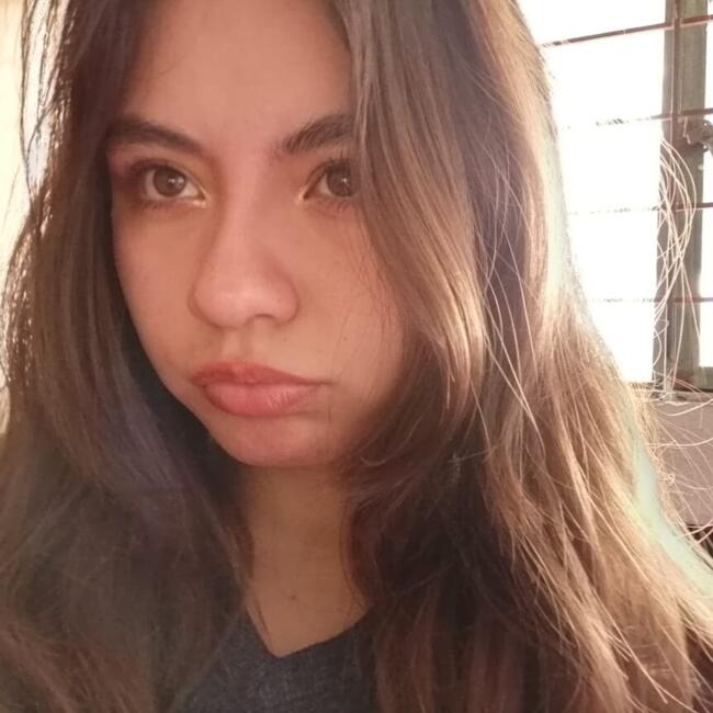 Niñera en Ciudad de México: BRENDA DANIELA