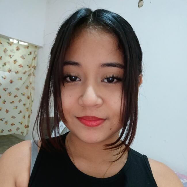 Niñera en Villahermosa: Alli