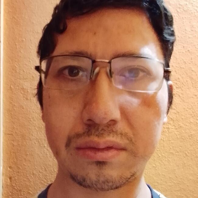 Babysitter in Xonacatlán: Luis Antonio