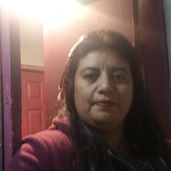 Babysitter στην περιοχή Quillota: Yasna Villarroel Figueroa