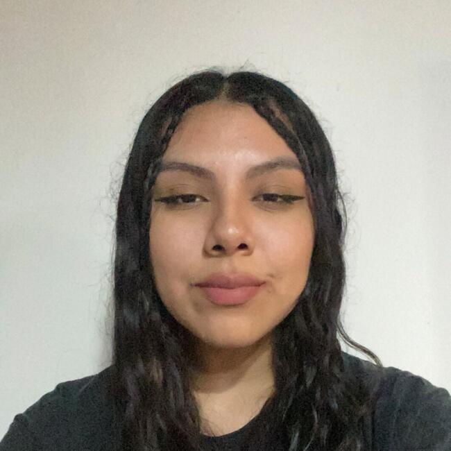 Babysitter in Mar del Plata: Luana