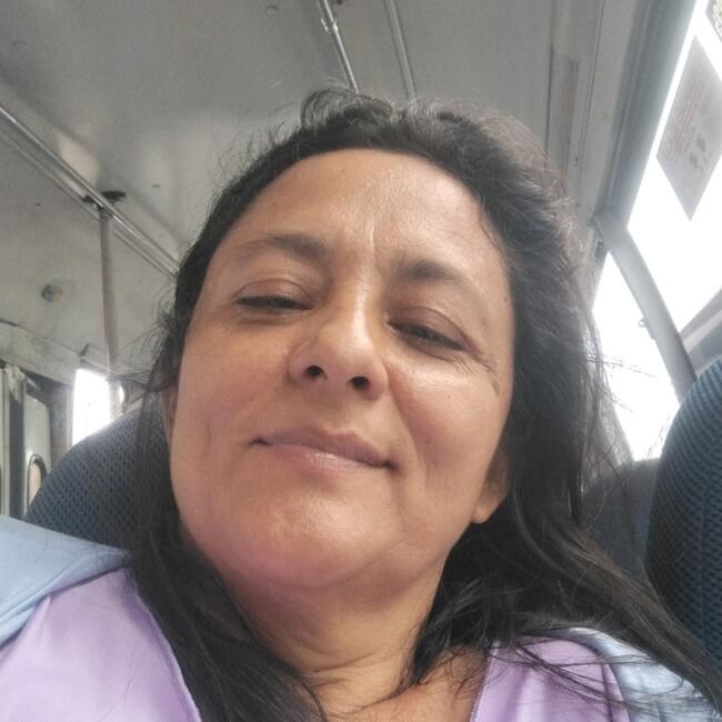 Babysitter in Villavicencio: Fabiola Hernández