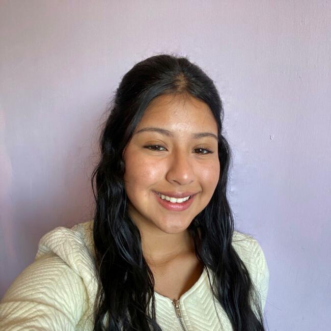 Babysitter in Quillota: Sofia