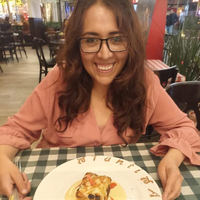 Babysitting job in Chicoloapan: Rosy