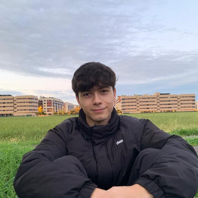 Babysitter in Logroño: Juan