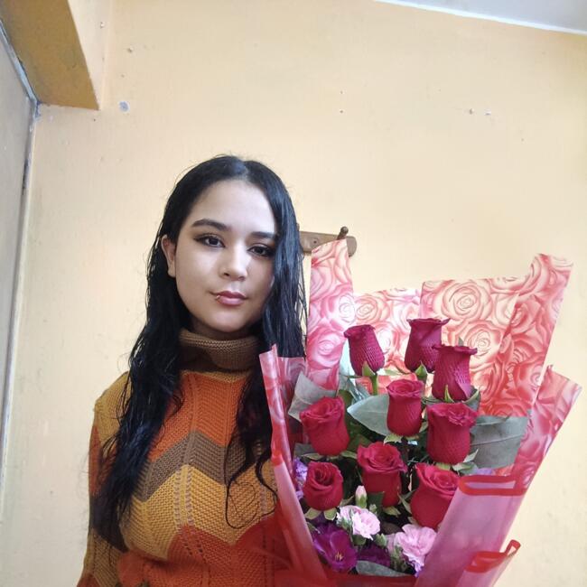 Niñera en San Juan de Lurigancho: Sofía Estefani Ríos Pérez