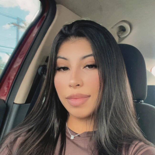 Babysitter in Francisco Beltrão: Ediane