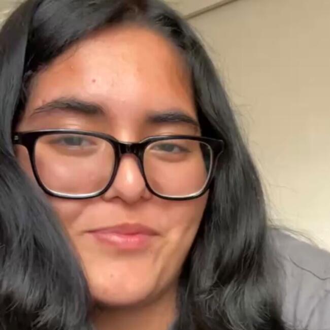 Niñera en Santiago de Chile: Josefa