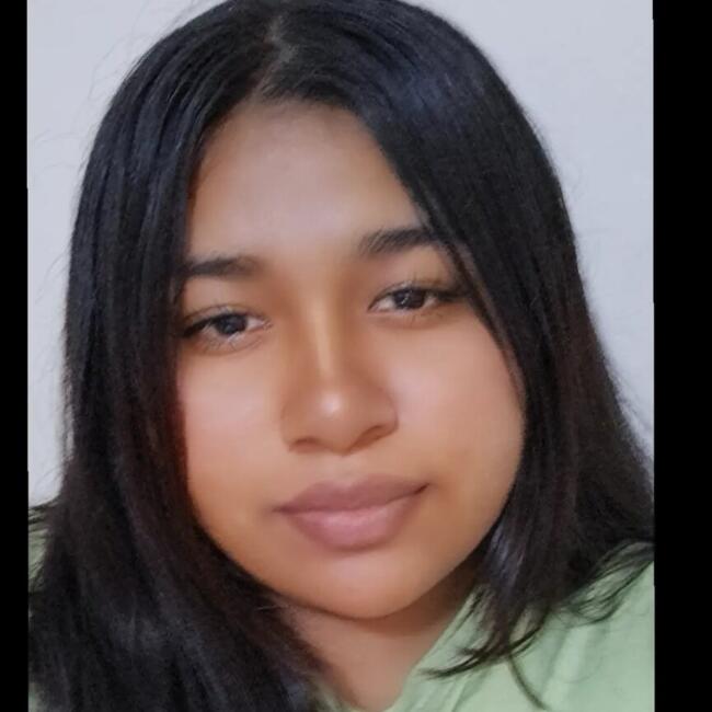 Babysitter in Chincha Alta: Heilly