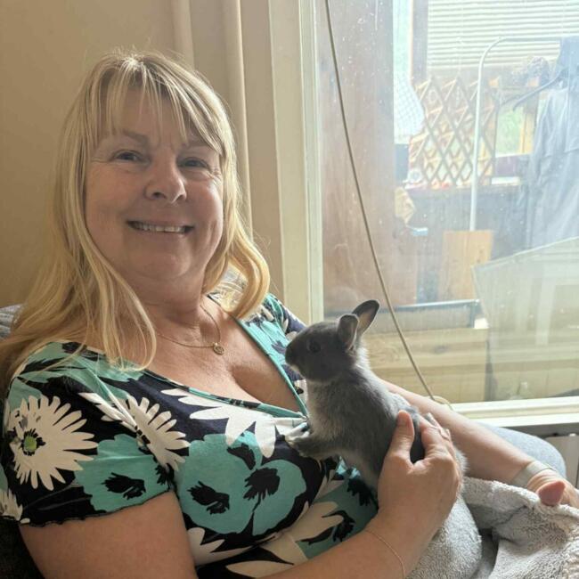 Babysitter in Budapest: Juhász