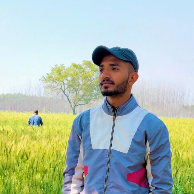 Babysitter in Ambāla: Nitin