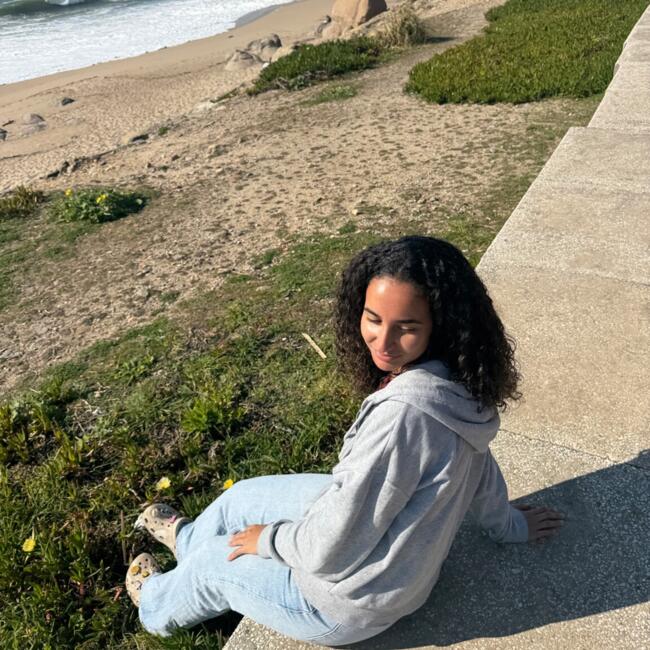 Babysitter in Vila Nova de Gaia: Diana