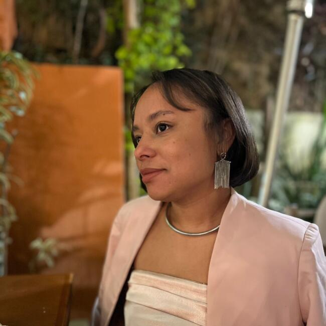 Babysitter in Jundiaí: Samara