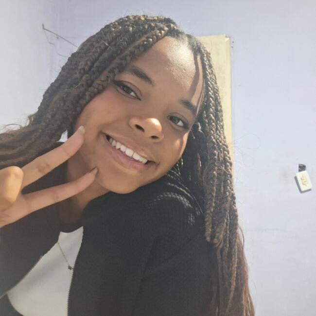 Babysitter in Niterói: Hemilhey