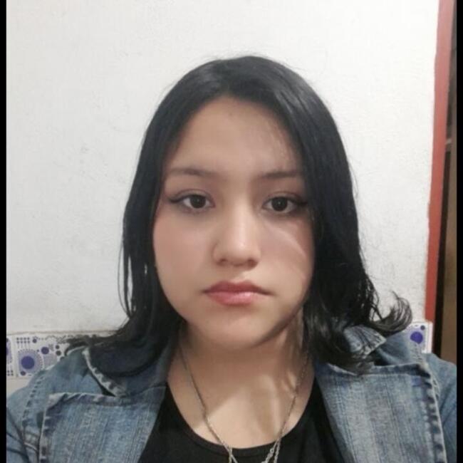 Babysitter in El Agustino: Alisson Darlene