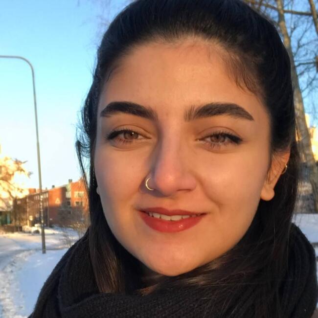 Babysitter in Stockholm: Parisa