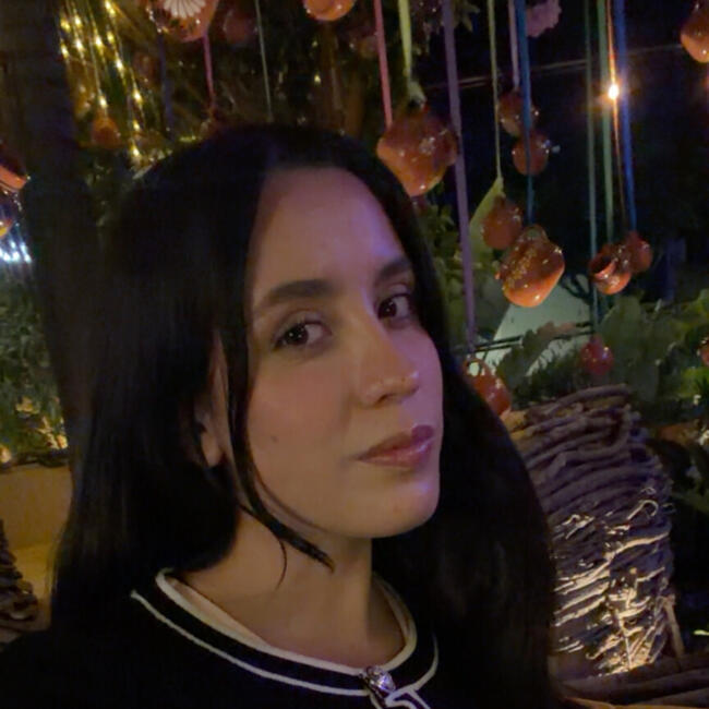 Babysitter in Toluca: Litzy Fuentes
