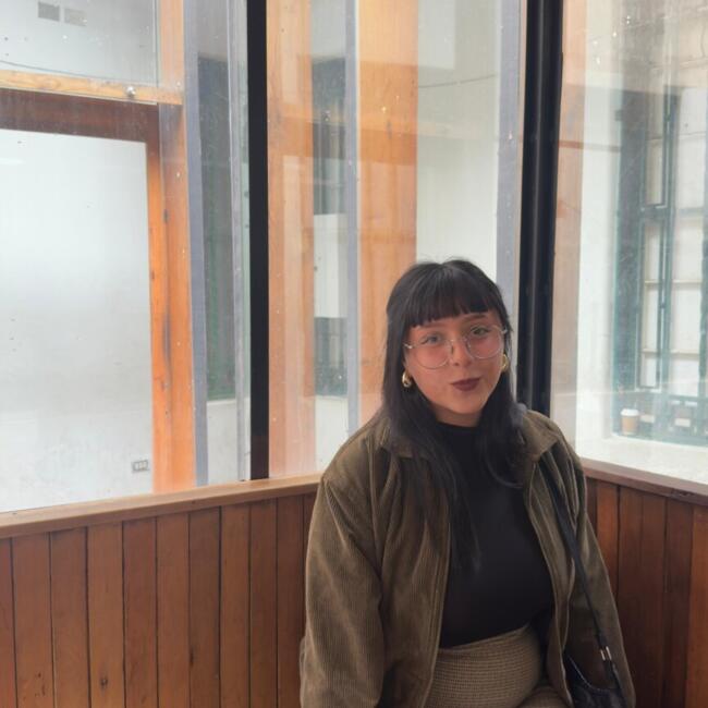 Niñera en Valparaíso: Alen