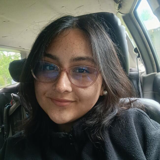 Babysitter in Villarrica: Camila