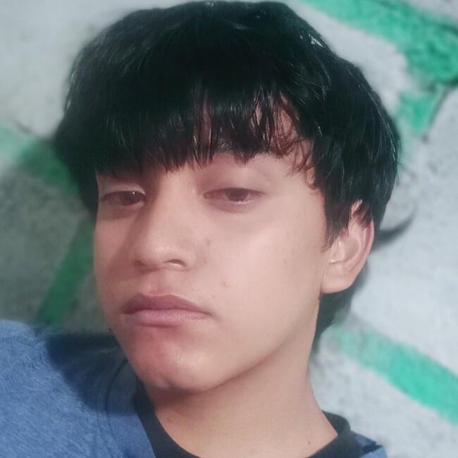 Babysitter in Tegucigalpa: Angel daniel