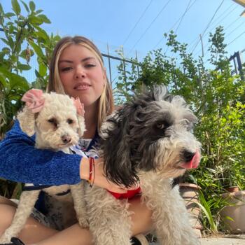 Niñera en Macul: Rayen