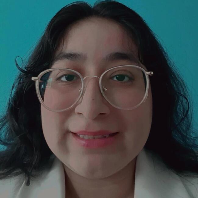 Babysitter in Surco: Camila Sánchez