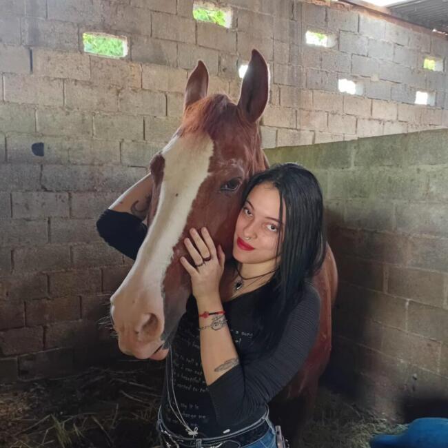 Babysitter in Jundiaí: Morgana Letícia