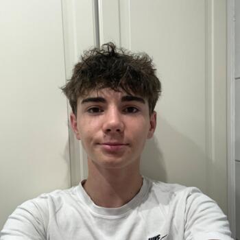 Babysitter Neuville-de-Poitou: Ulysse