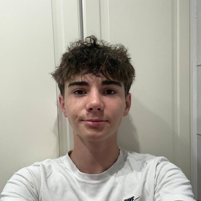 Babysitter in Neuville-de-Poitou: Ulysse