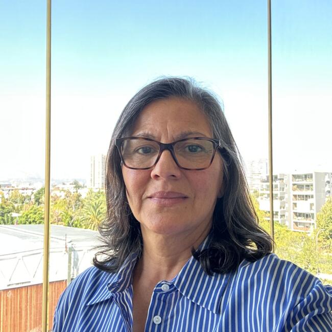 Niñera en Providencia: Silvia