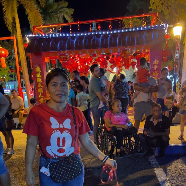 Babysitter in Santiago: Benita