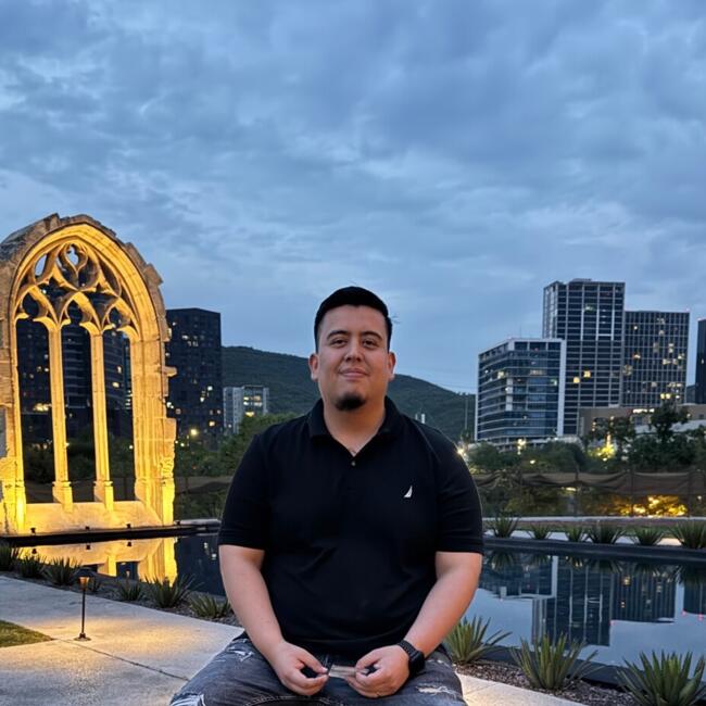 Babysitting job in Monterrey: Luis