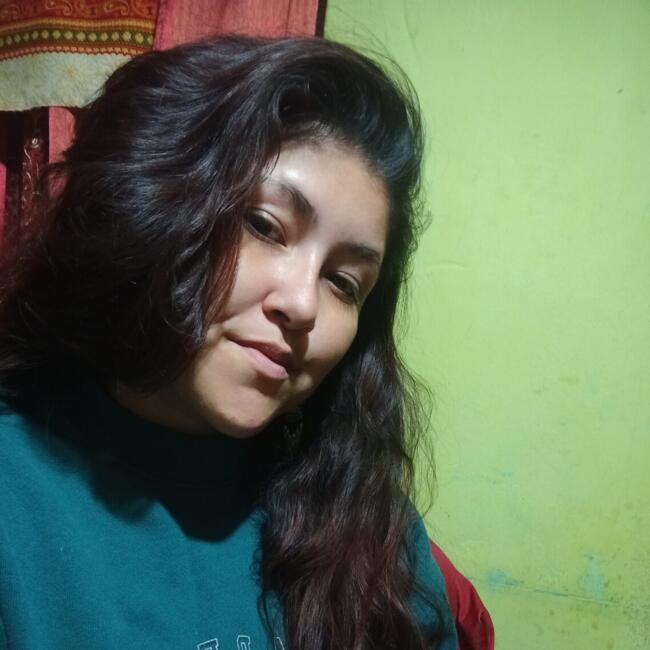 Babysitting job in Requínoa: Sandra Olguin