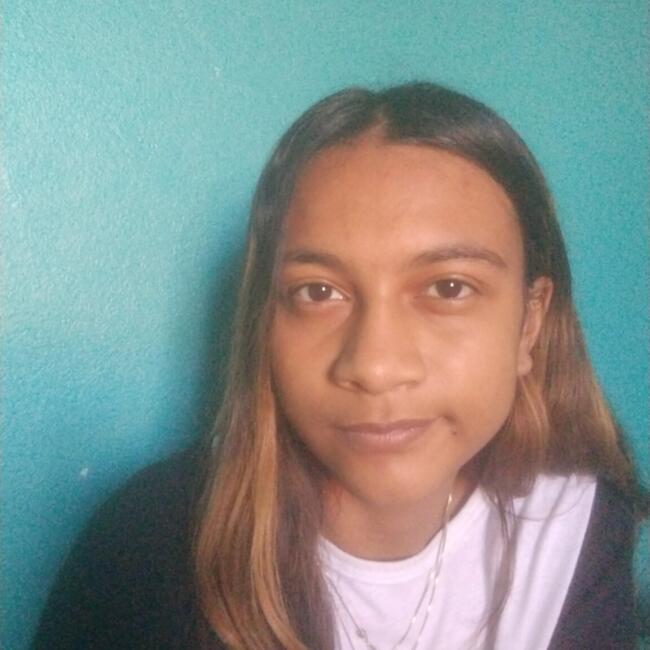 Babysitter in Ponta Grossa: Natacha