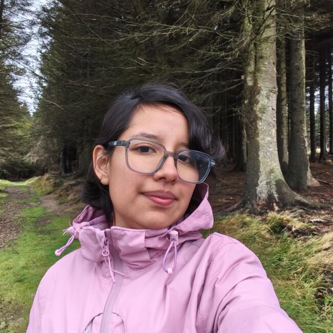 Babysitter in Dublin: Marisol