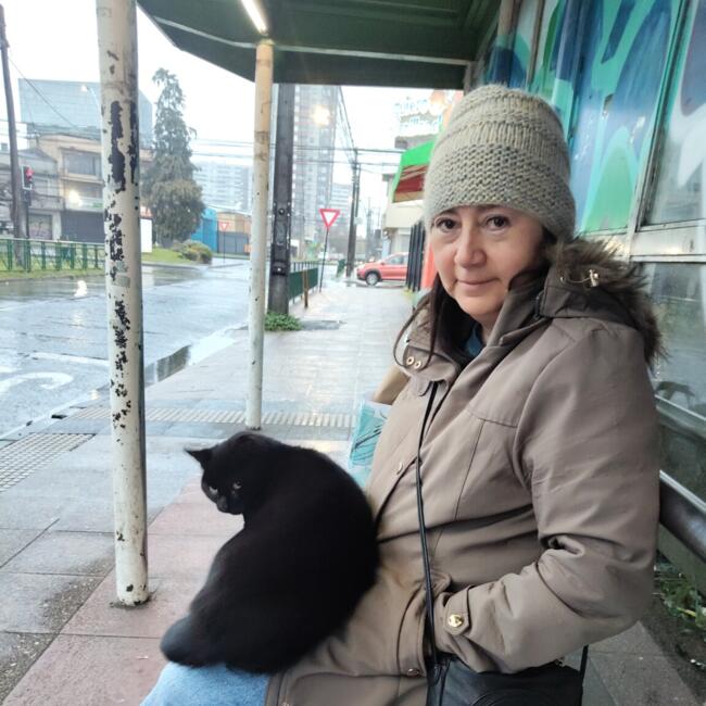 Niñera en Temuco: Maria