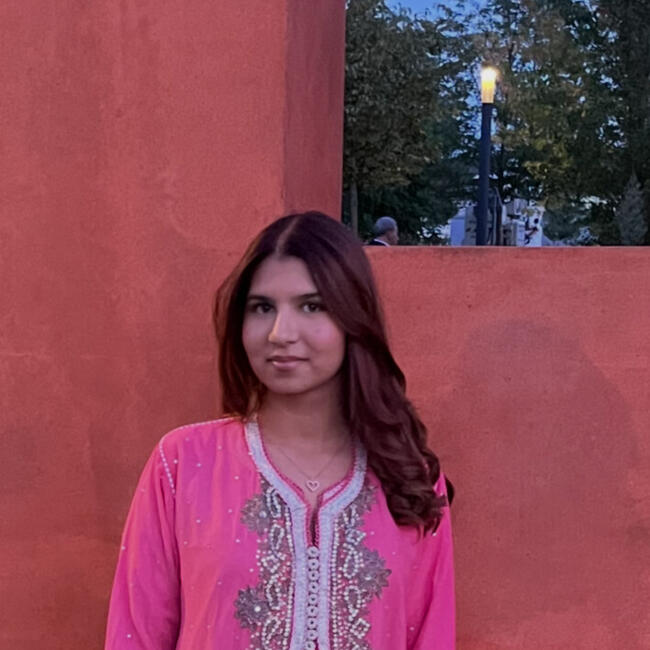 Babysitter in Meudon: Noor