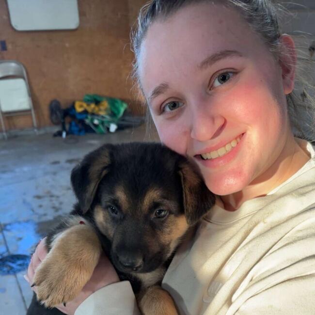 Babysitter in Wauseon: Olivia