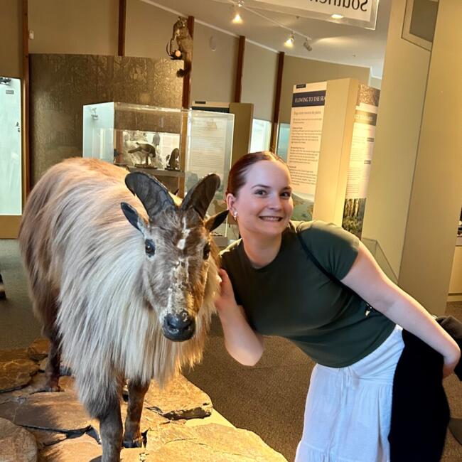 Babysitter in Lower Hutt: Emilie