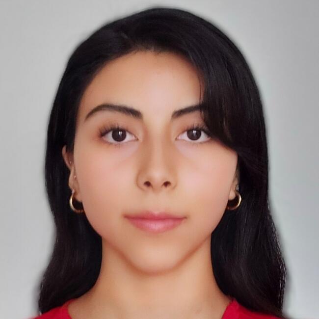 Niñera en Santiago de Chile: Antonia