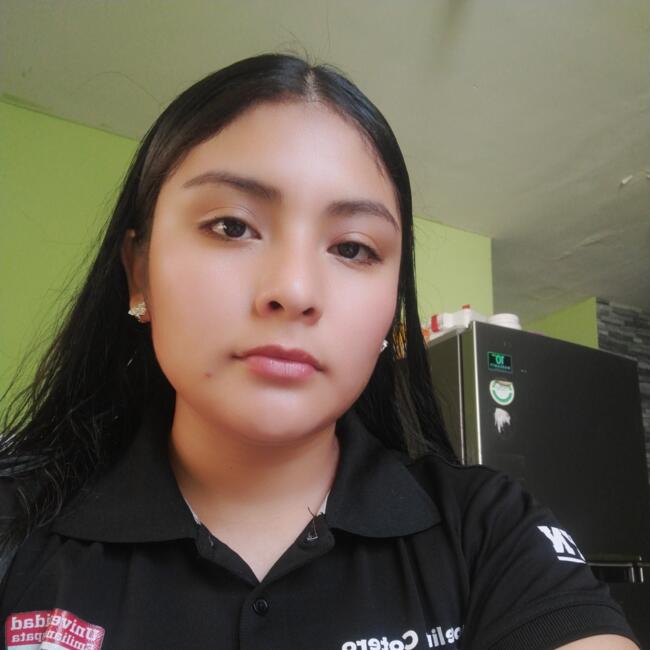 Babysitter in Monterrey: Joseline